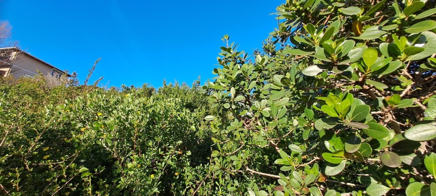 0 Bedroom Property for Sale in Upper Robberg Western Cape